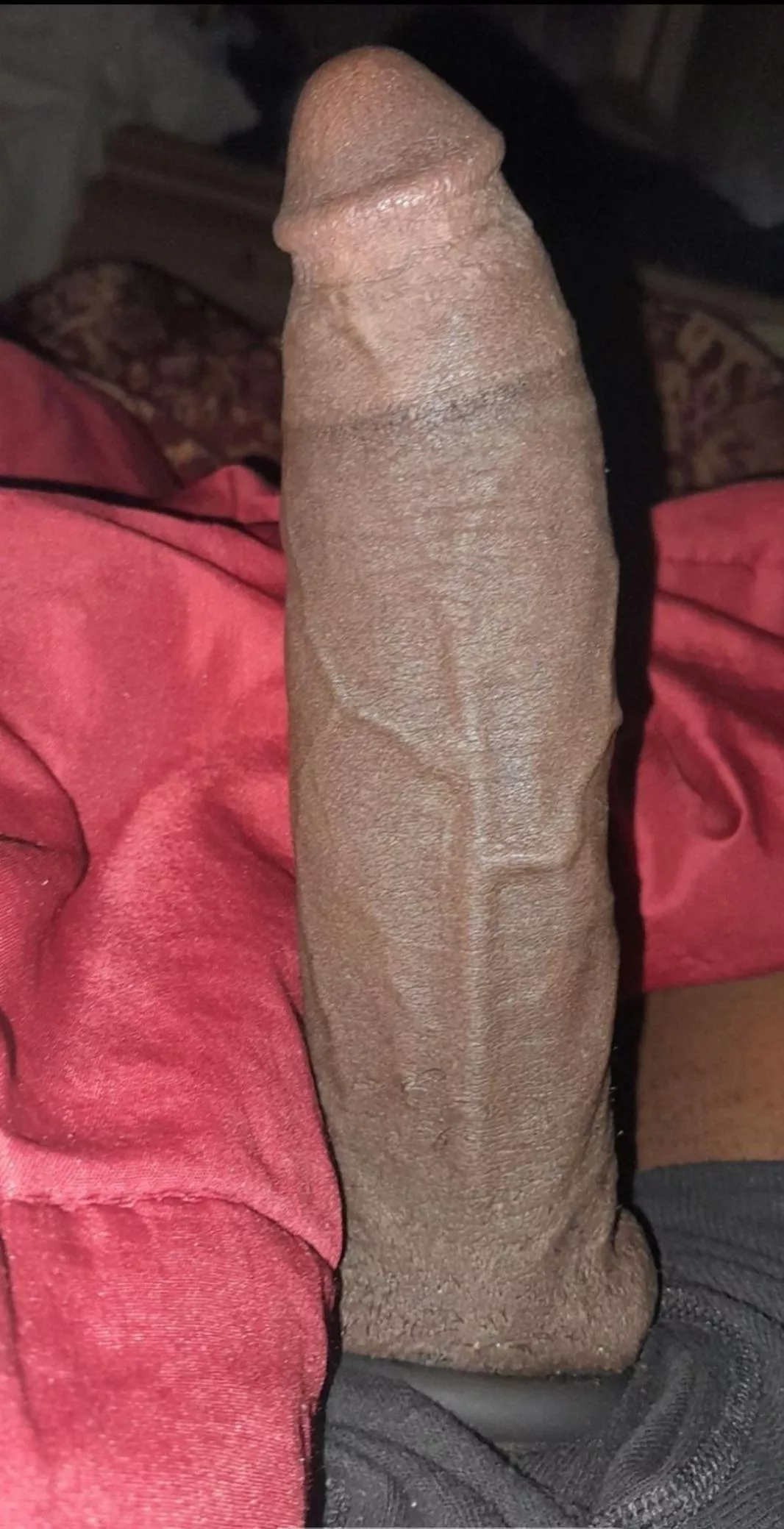 Black, huge and veiny