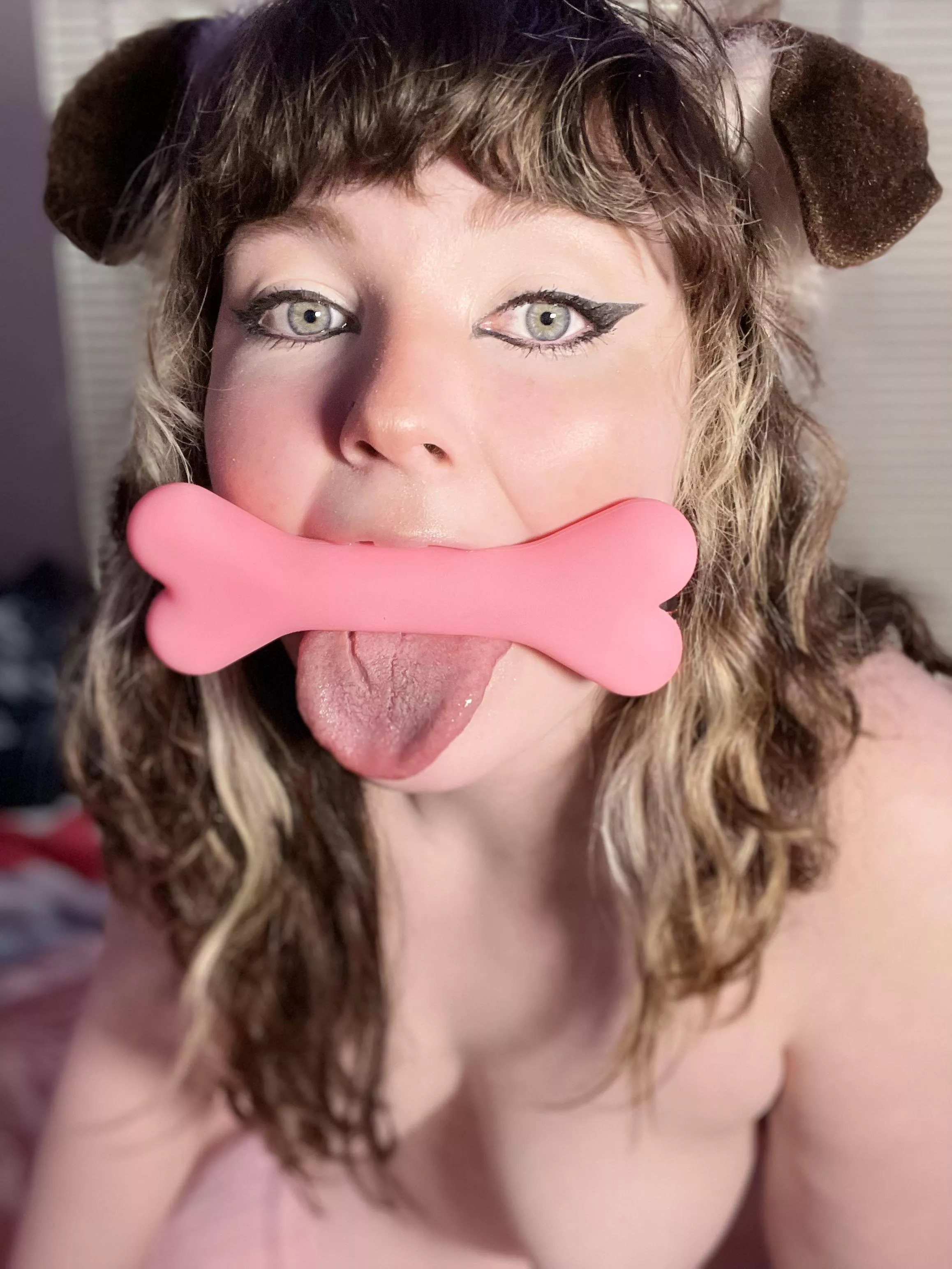 Do you want to adopt a puppy?