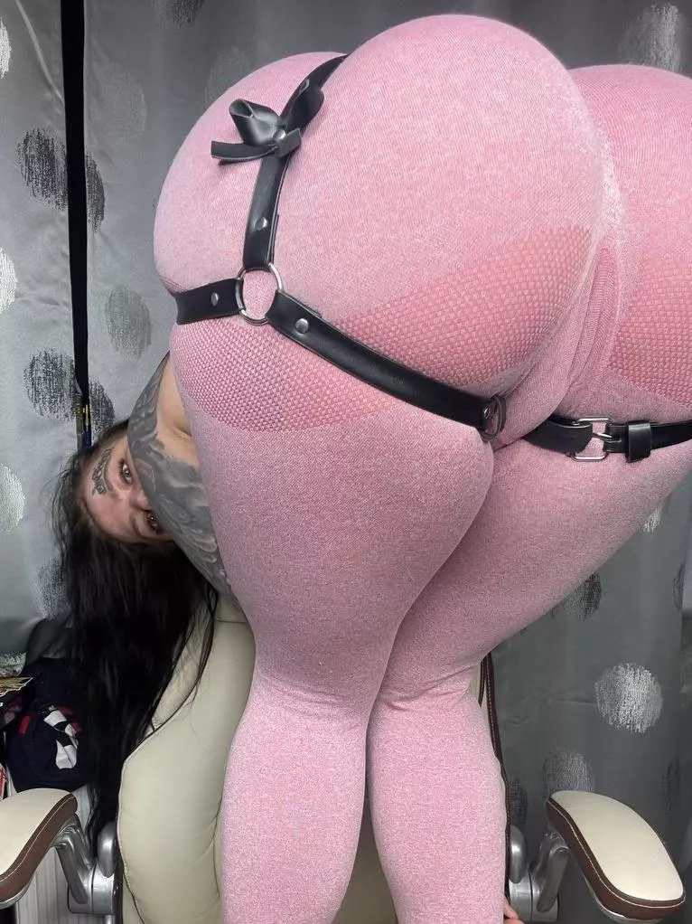 I climbed on a chair not to tell a verse