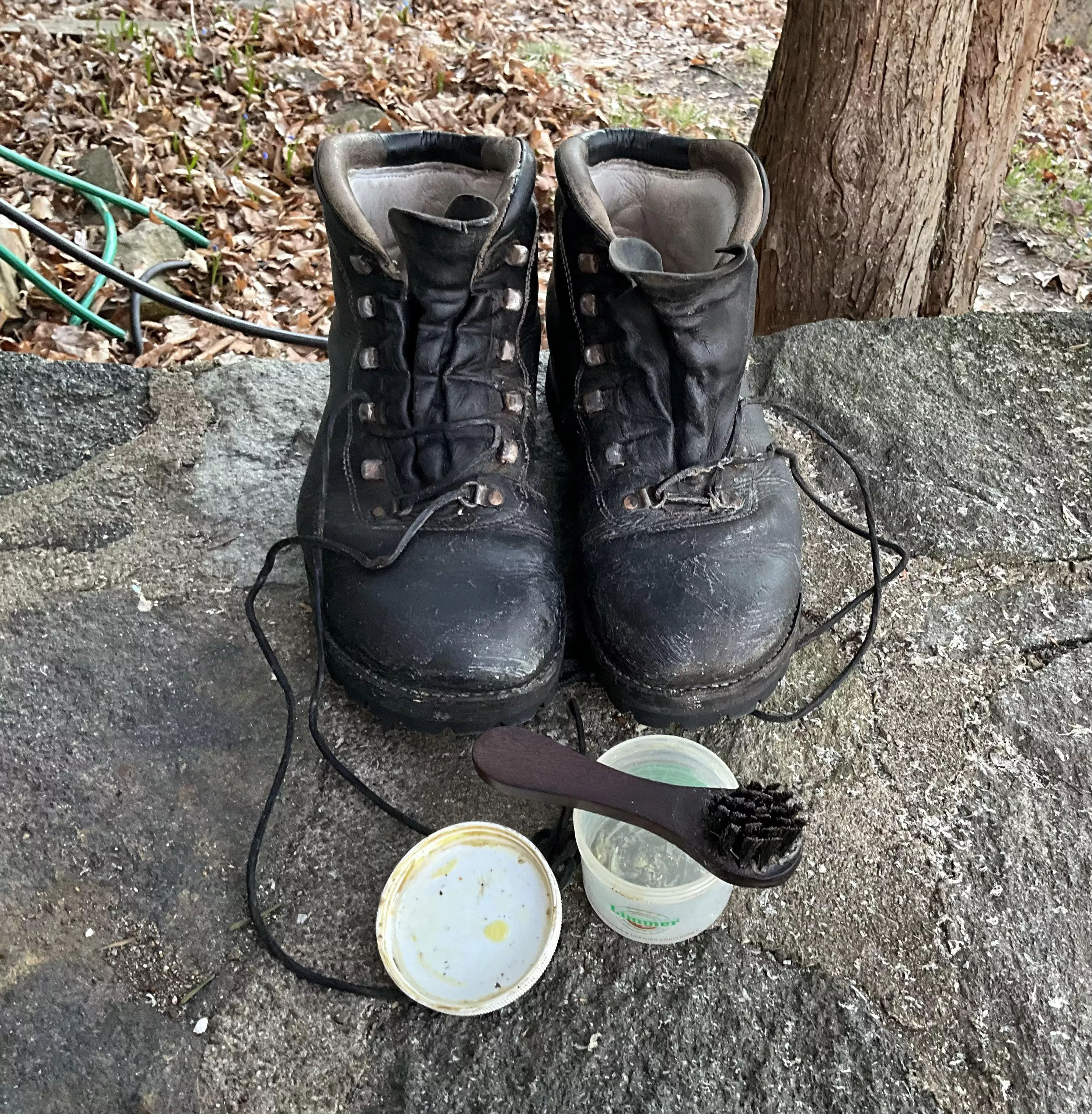 I greased my boots this morning