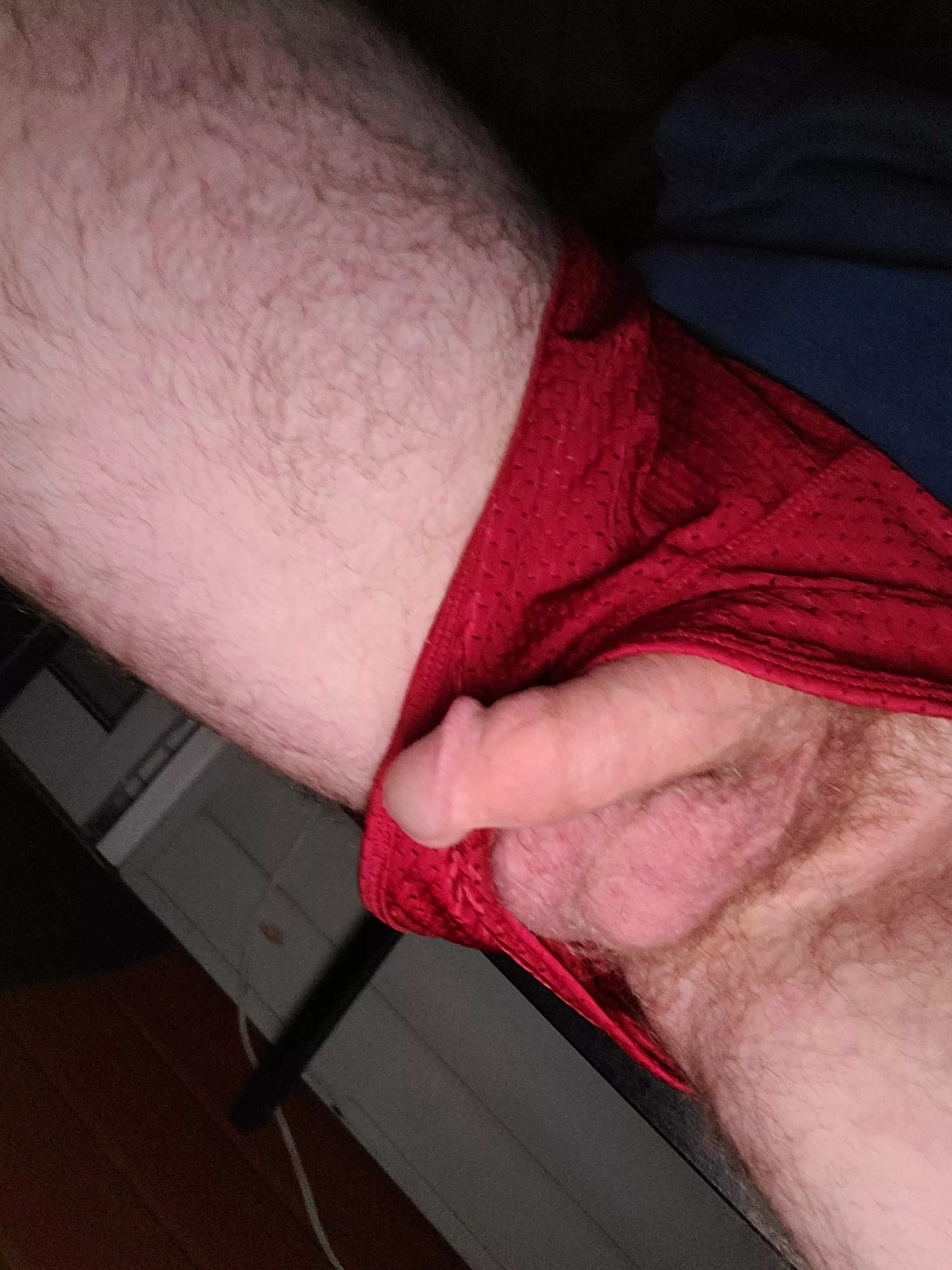 Sharing my softie with the neighbors