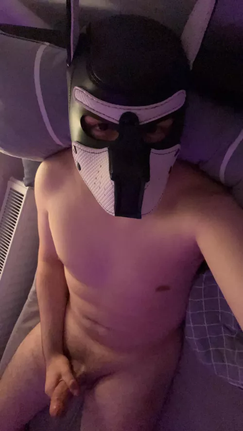 Today my first pup hood arrived 😍