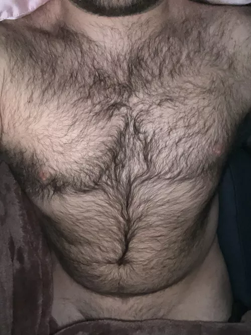 38 hairy ass dad