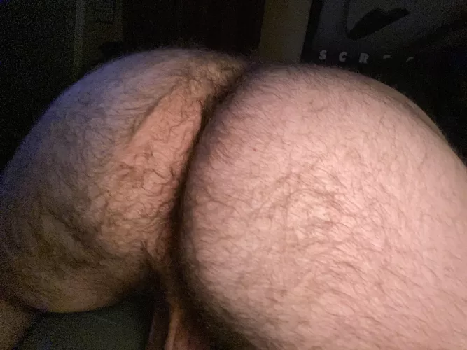 Anyone want some hairy hole for breakfast?