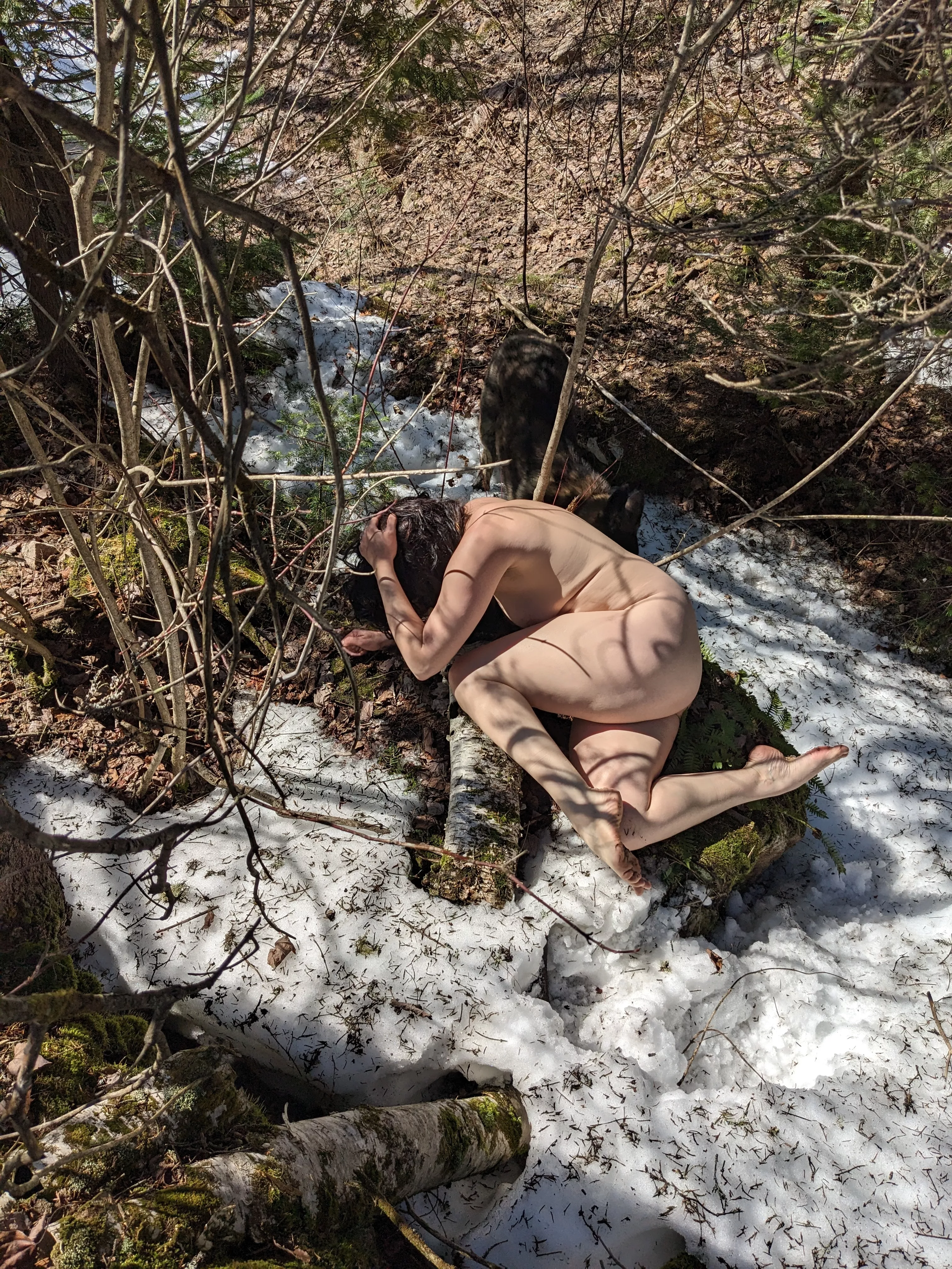 Emergence more in comments