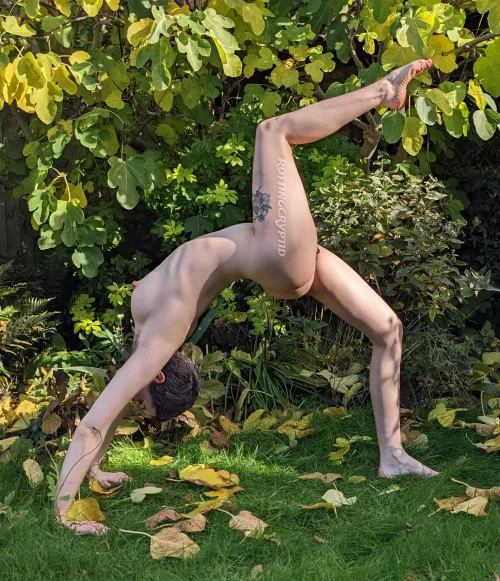 Frolicking in the garden