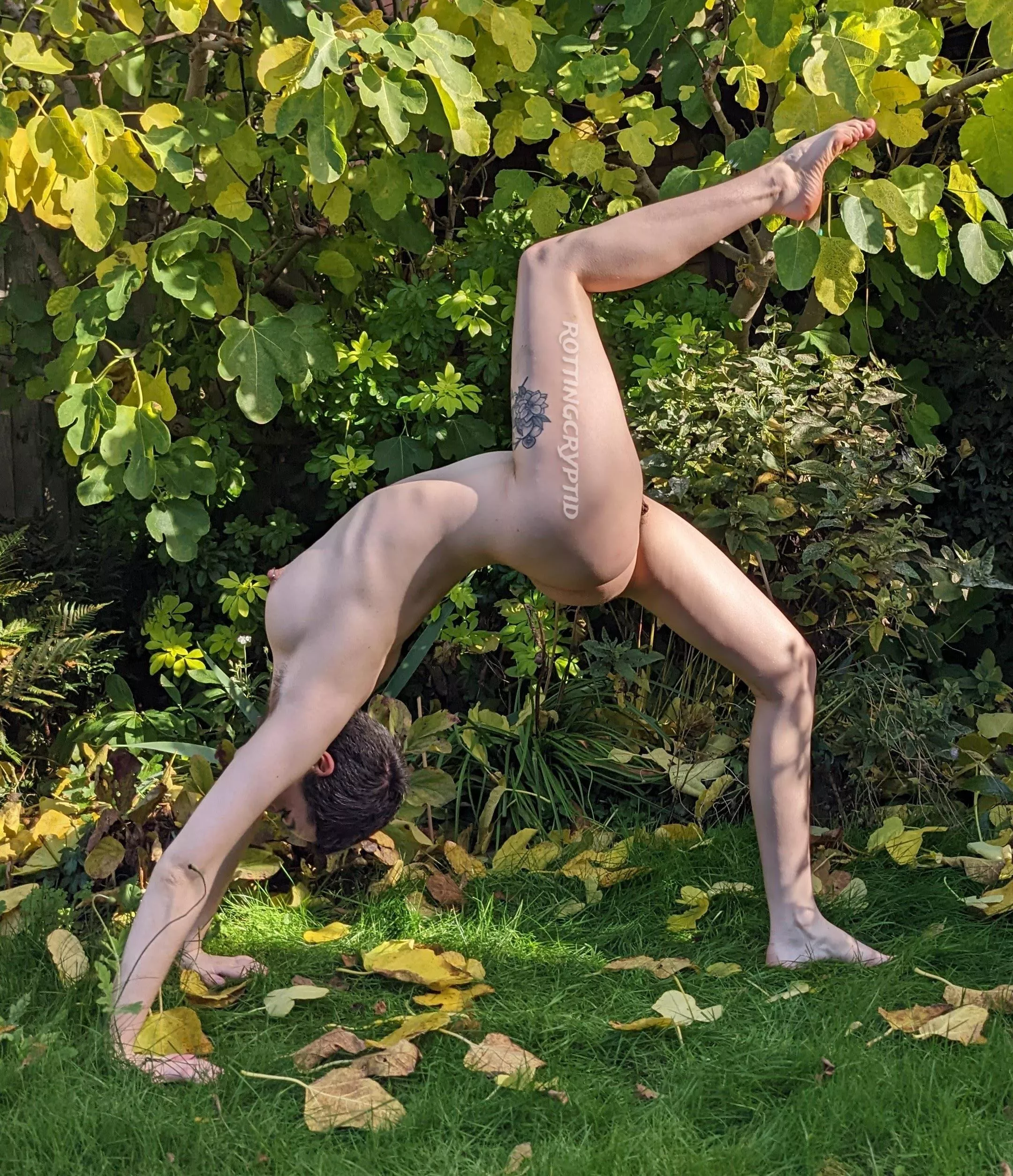 Frolicking in the garden