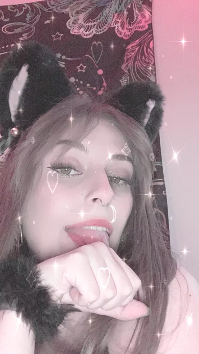 I can be your waifu😽💗
