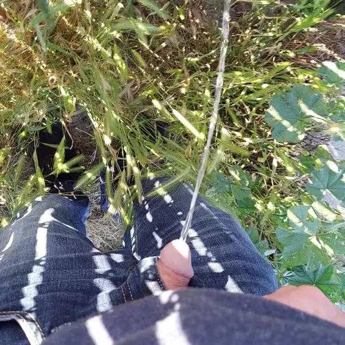 In my buddy's back yard