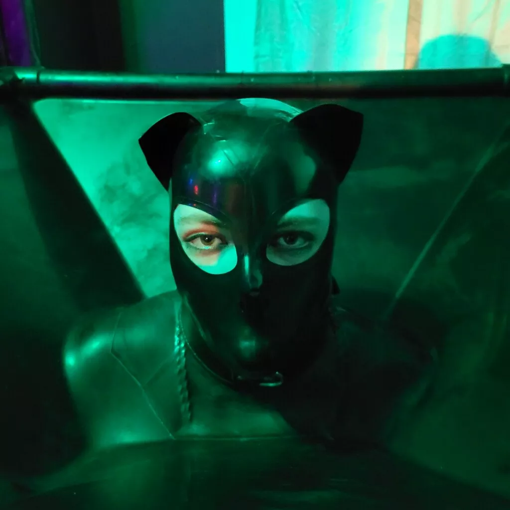 Kitty in a vacuum cube.