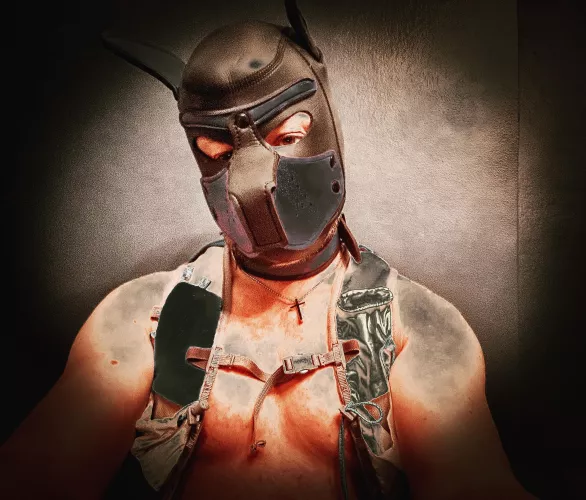 Pup is Ready for Monday AM Run