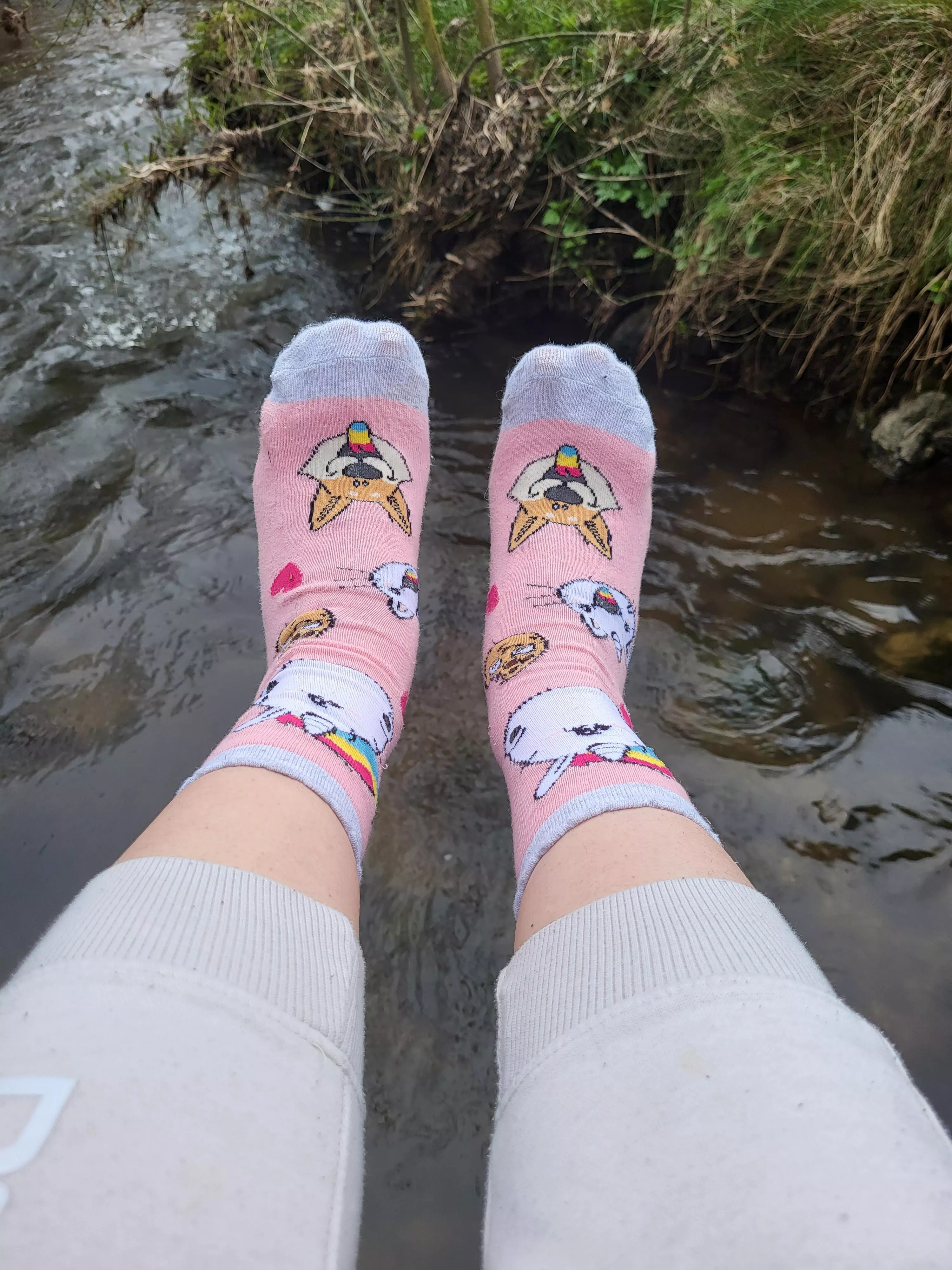 Wanna pet my Unicorn? (OC)