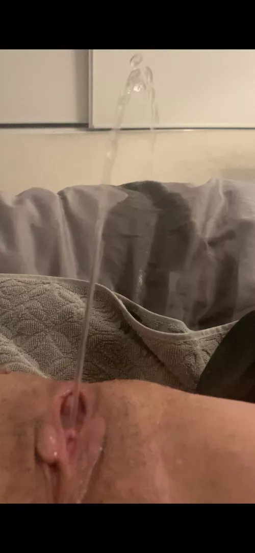 When Steel’s away, Gracie plays