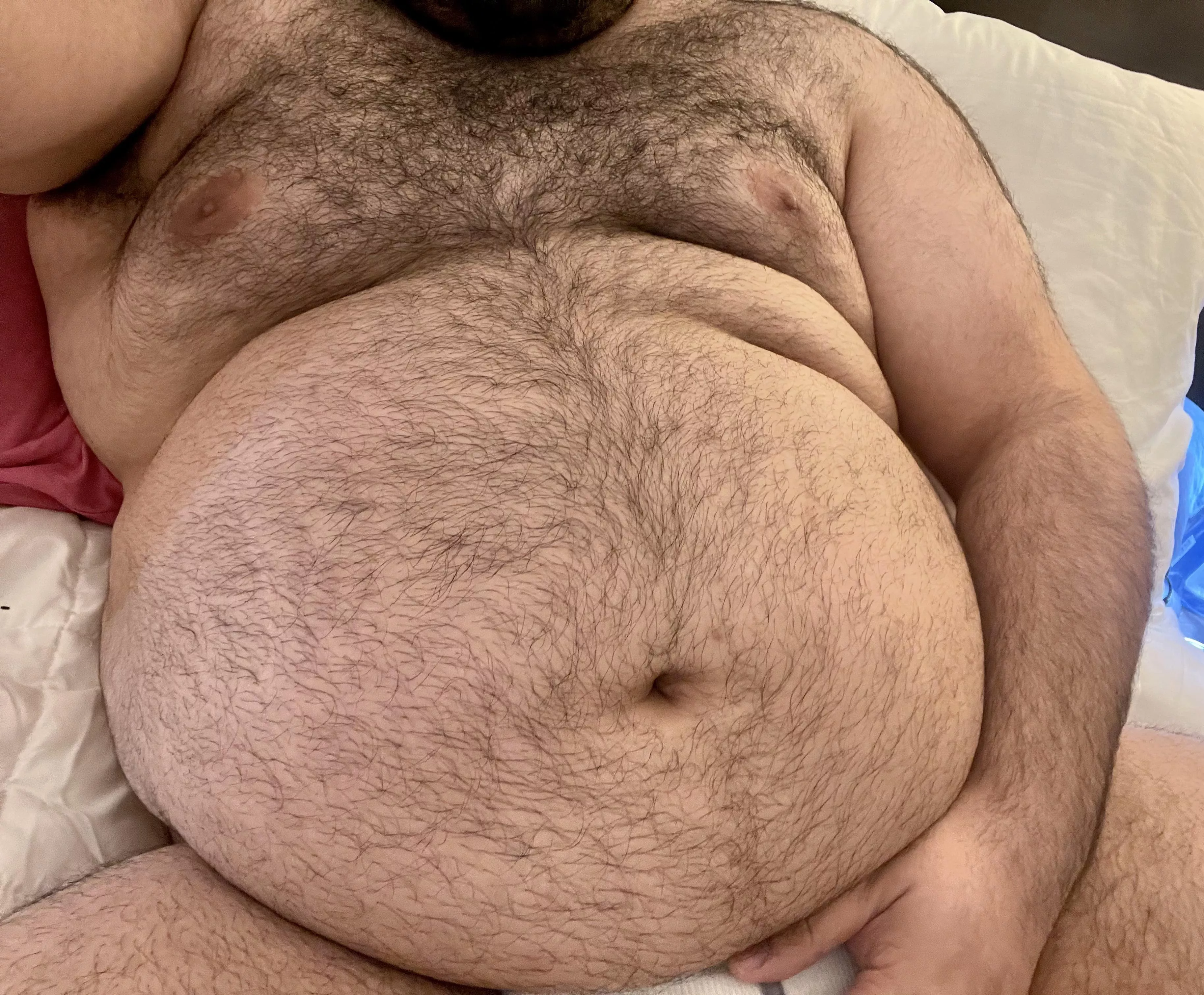 Who likes bellies?