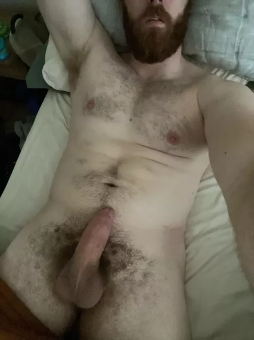 6’5”, 29yo, bi and all I want to do is make people cum with my thick beard, thick cock, or fat ass. Which do you want?