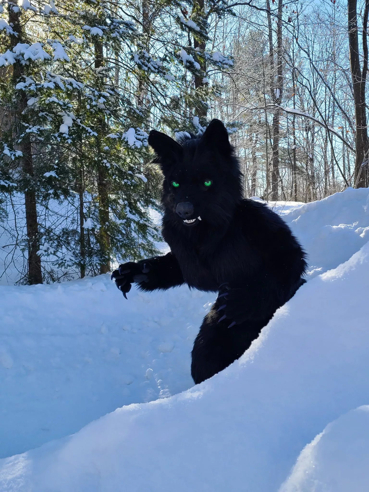 A wolfess on the prowl... (@cinderwolfess on Twitter)