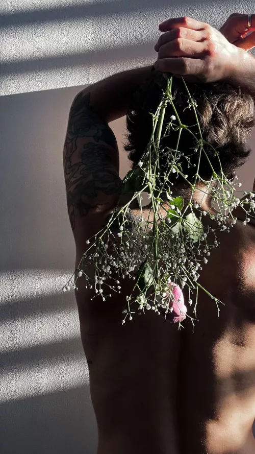 Coming alive when the sun goes down