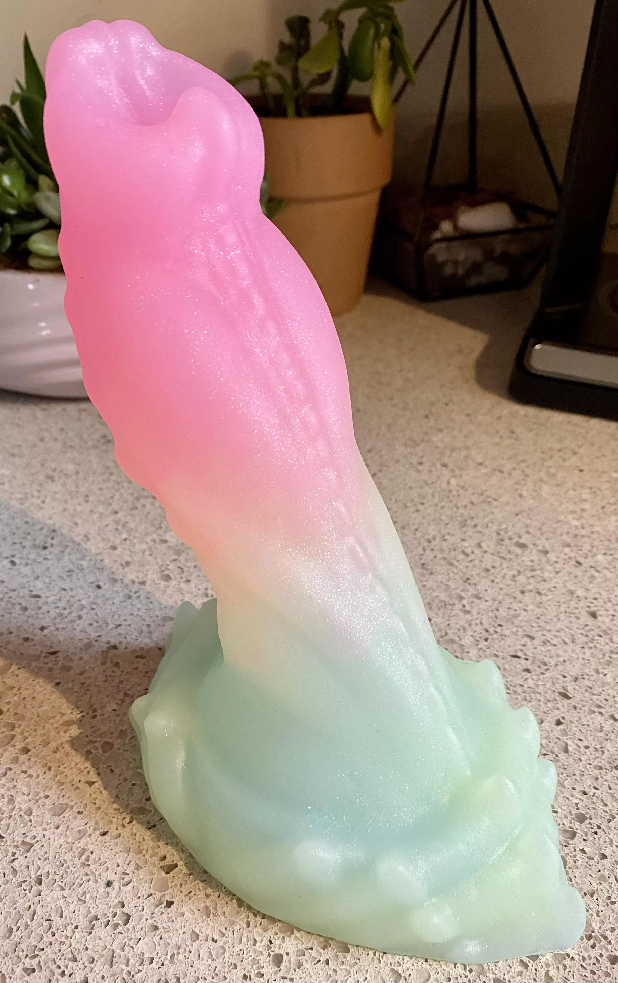 Croxic arrived and he’s v pretty