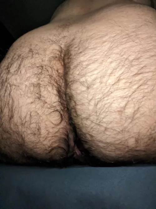 Curious and shy about my plump, hairy bottom. Will it do?