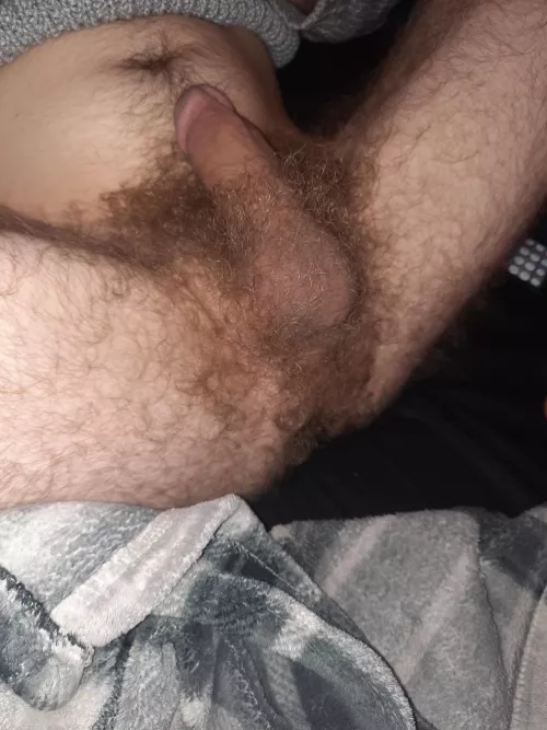 My hairy ass and taint