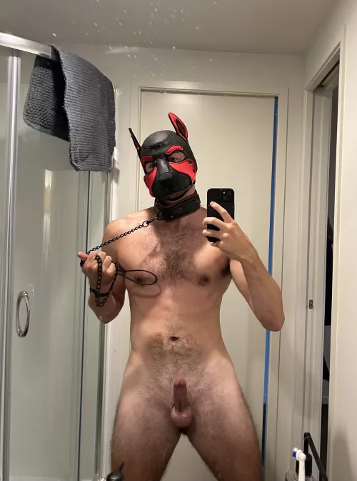 Need somebody to tug on my leash