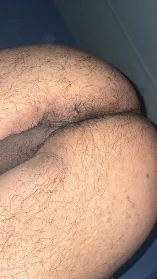 Some hairy 19 y/o ass