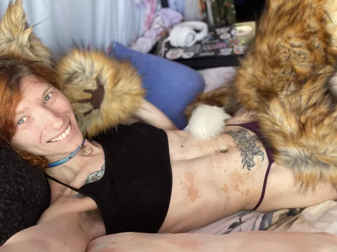 Someone please just make me a dumb fox