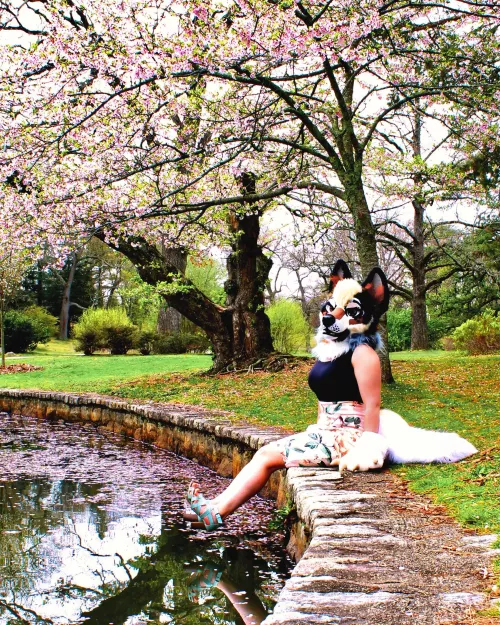 Stop and have a seat, you deserve a break 🌸