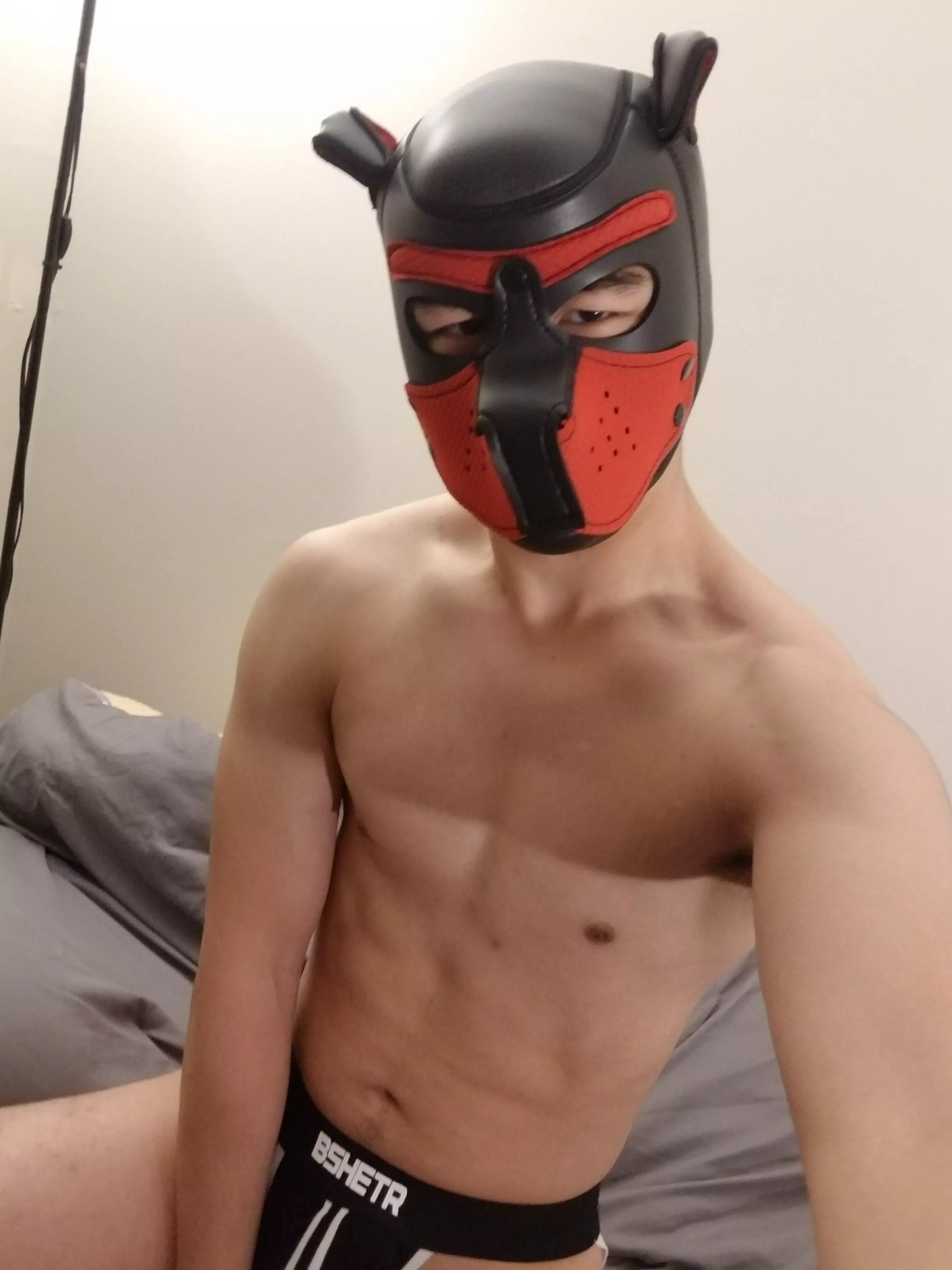 Thank you to everyone who helped me to choose my first hood! Looking to make friends here. Woof!