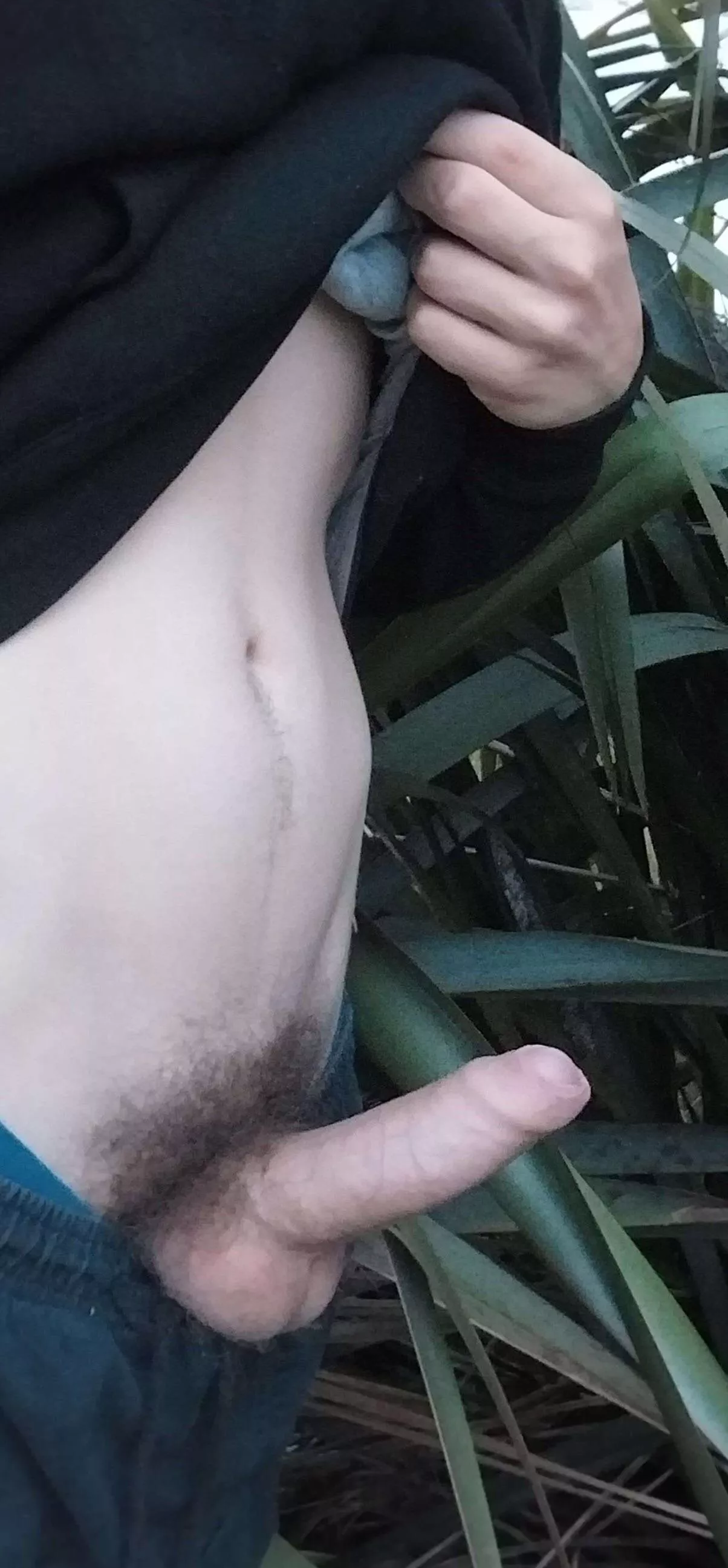 Want to help me out in nature