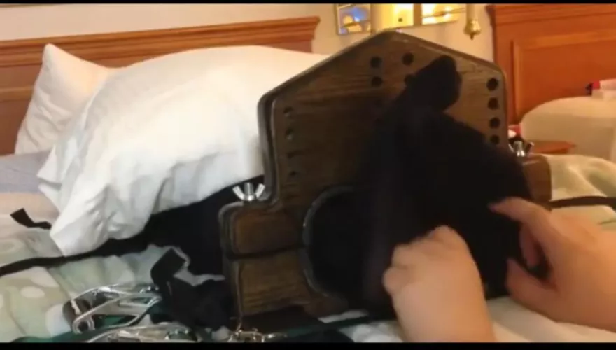 What studio is this?