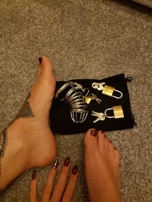 Will you be my obedient little sissy slut and wear this cage always