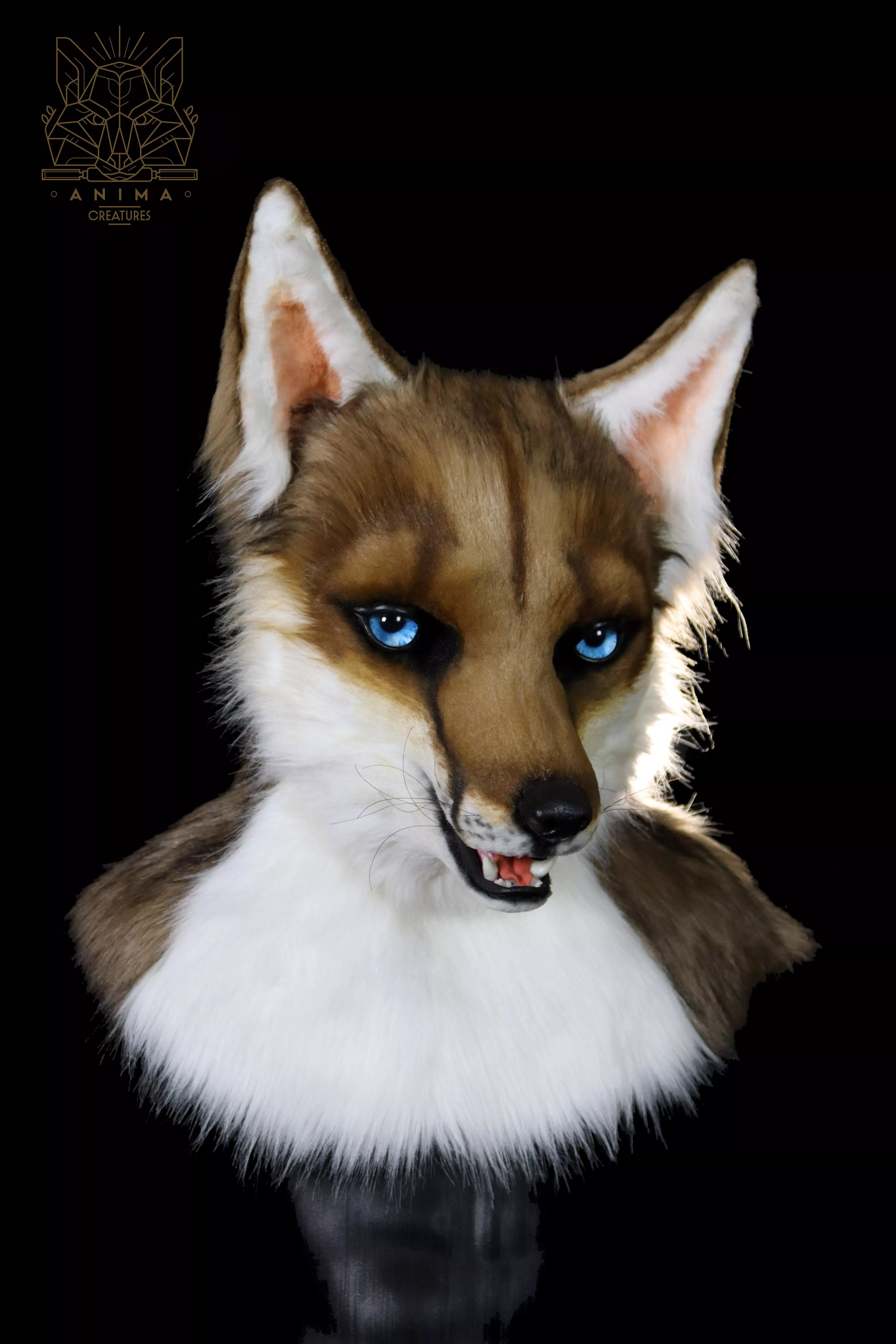 A new Fox commission is done ! *w* (Instagram : anima_creatures)