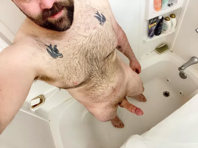 Don’t be shy, hop on in and keep me company