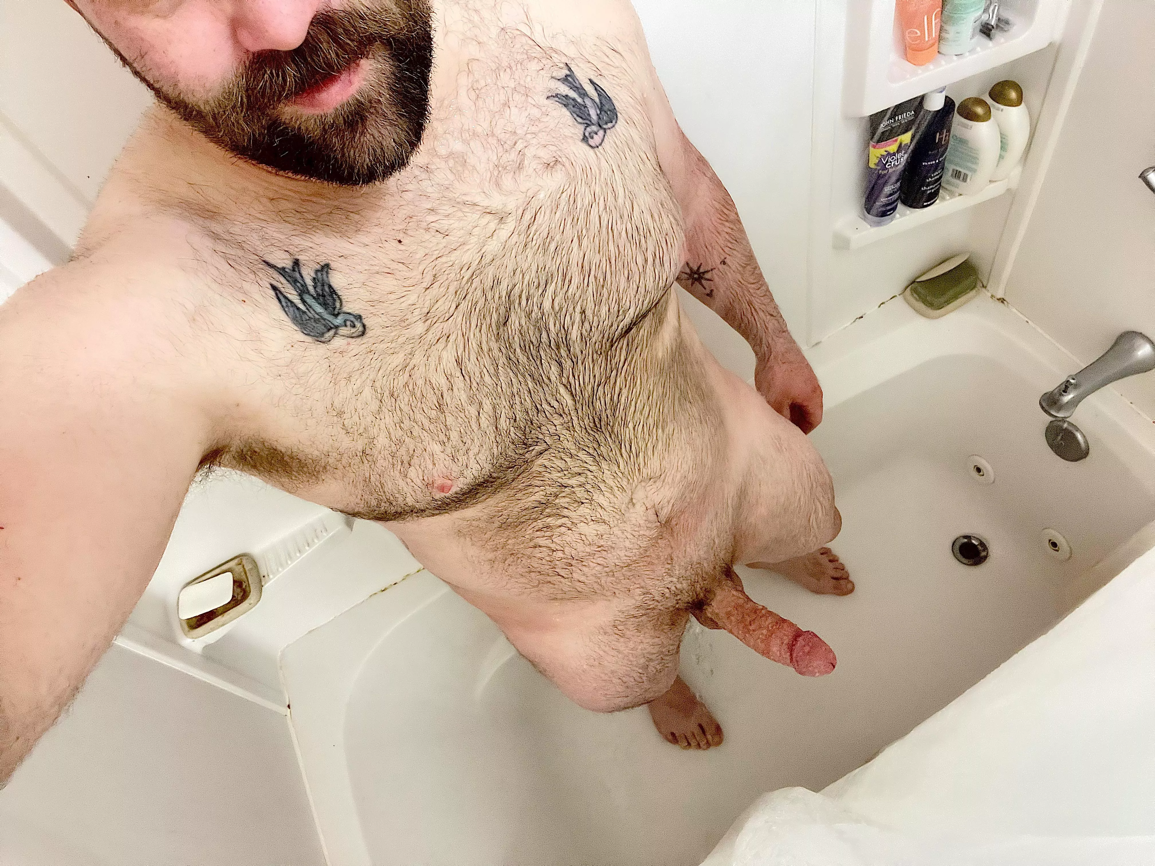 Don’t be shy, hop on in and keep me company