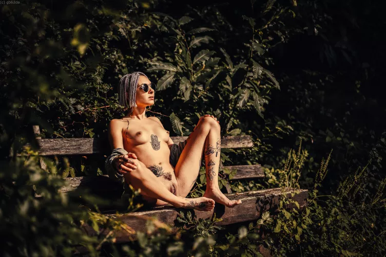 Flowers need sunlight to bloom