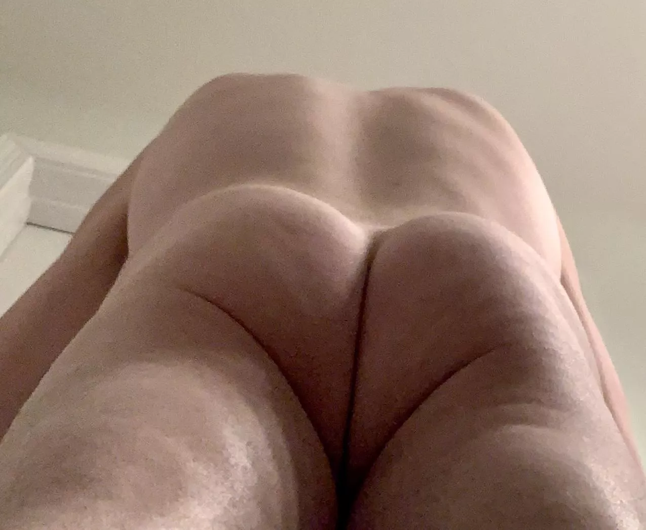 Happy day of the humps