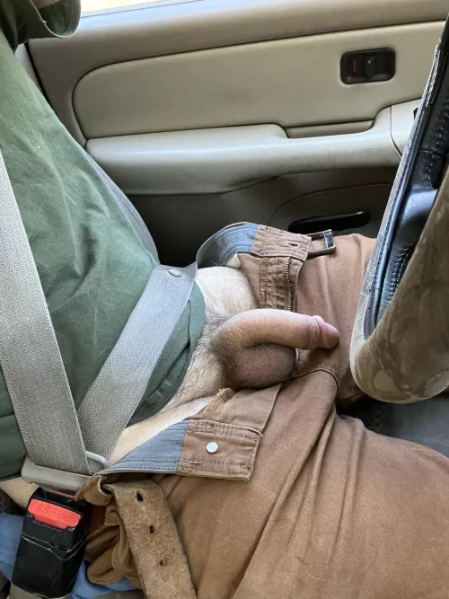 Help me stretch your holes on our trip