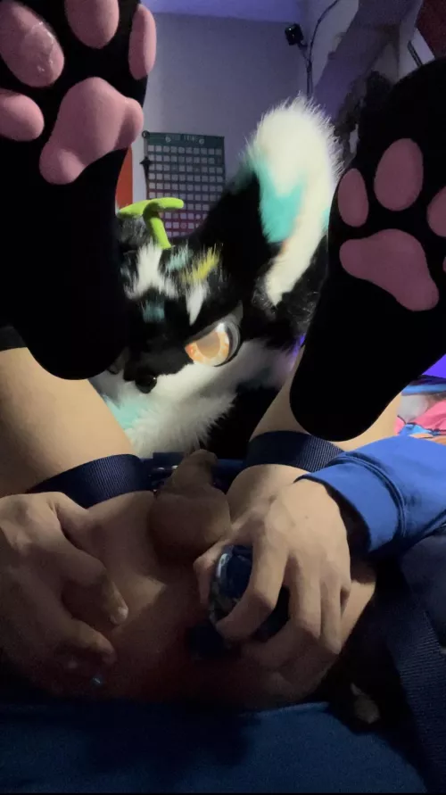 I think I might need a size up