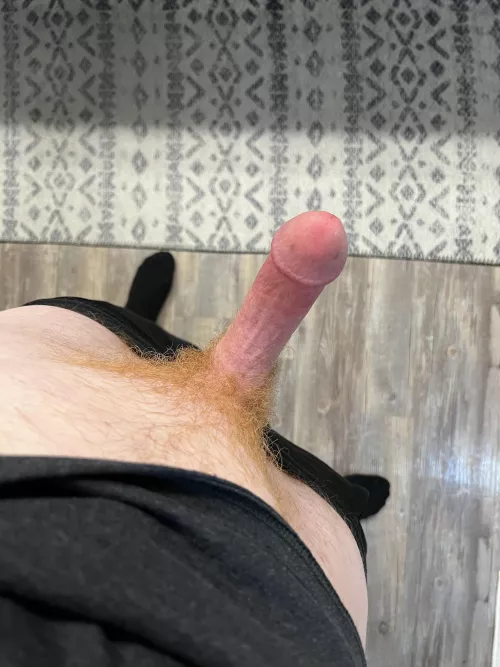 I’d say I’m pretty red all over. 😂 Ginger Cock here always open to chat with fellow Bi Bros or ladies with a love for Ginger Guys.