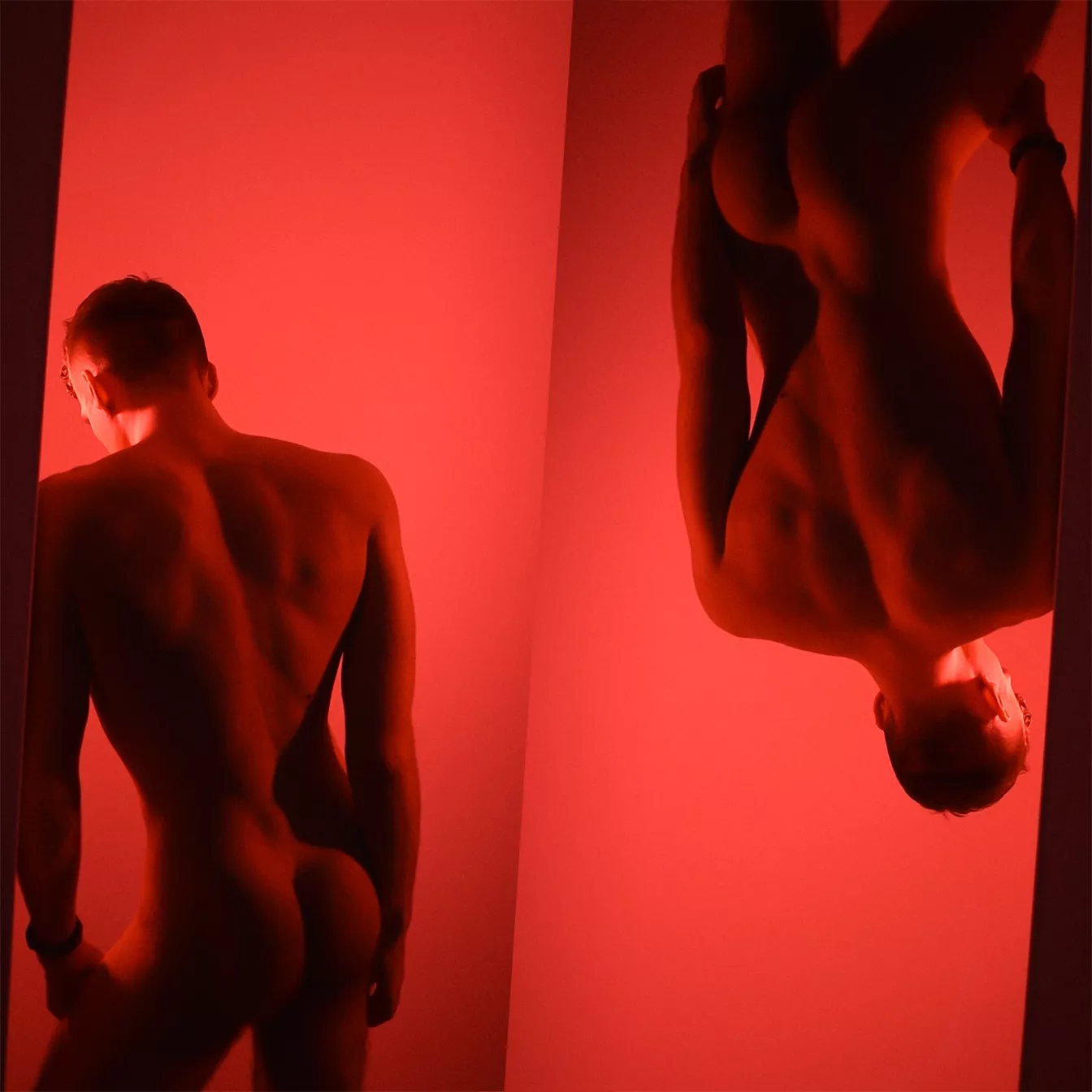 if you ended up in this room that would be bad news for your asshole, knowing this would you come?