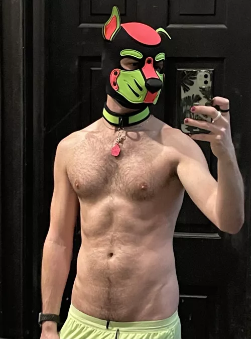 Puppy got bored at work.