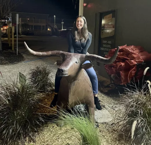 save a horse, ride a bull