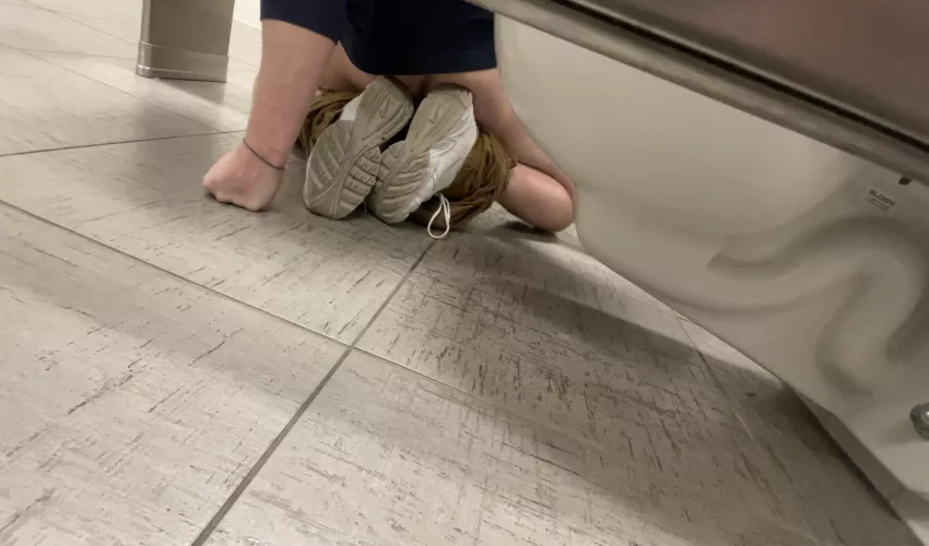 They seemed to be having fun