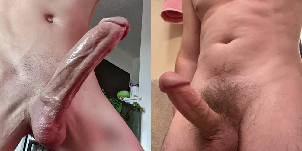 Which cock would you rather , left or right? Which cock would you rather , left or right?