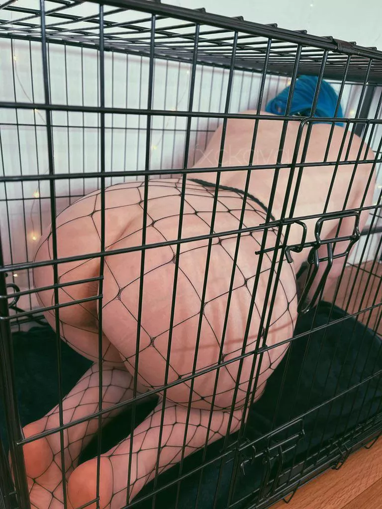 Your caged slut [F]