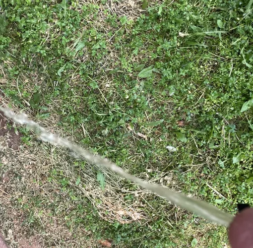 A healthy stream….