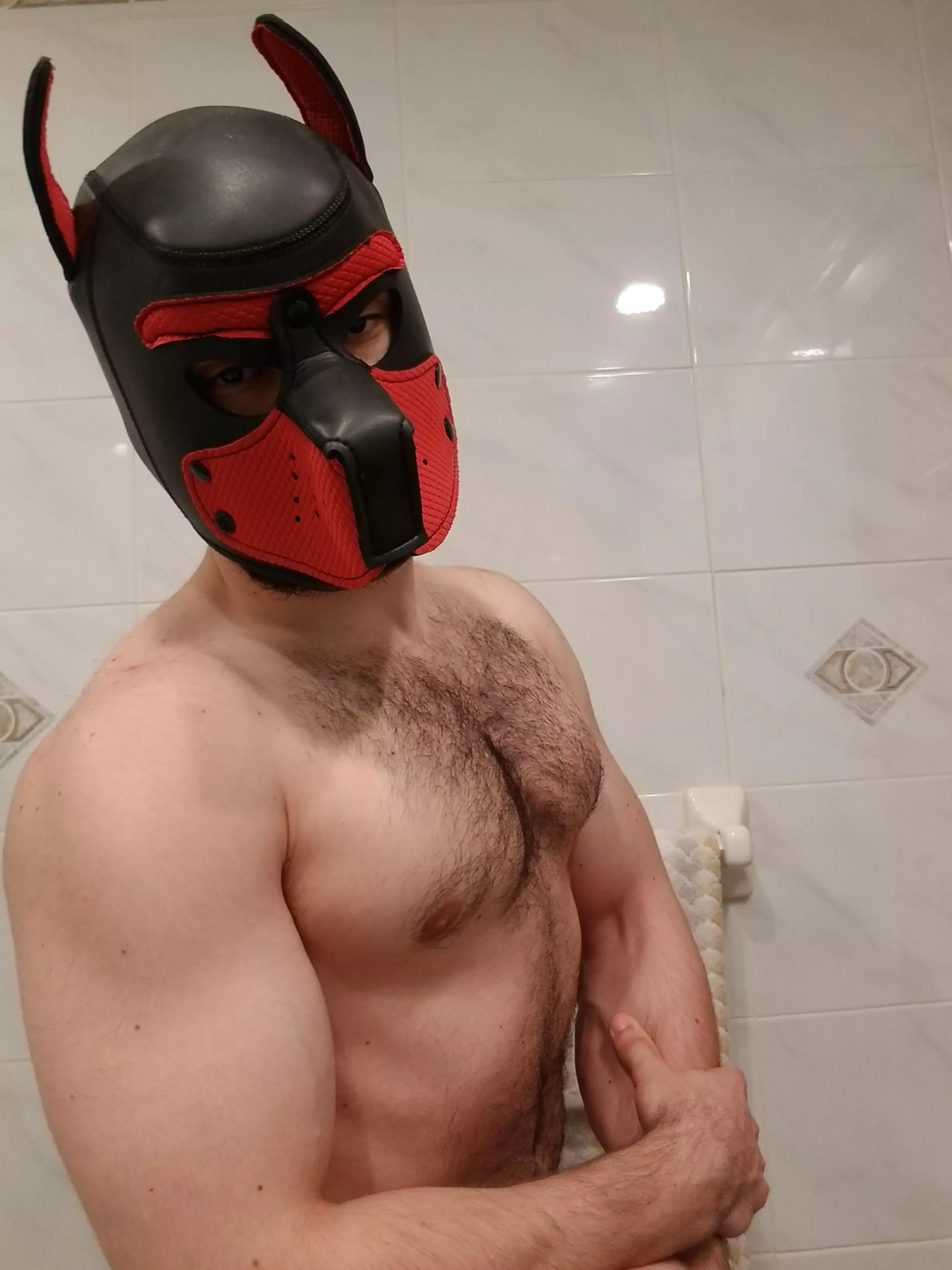Any pups wanna wrestle around 🐺
