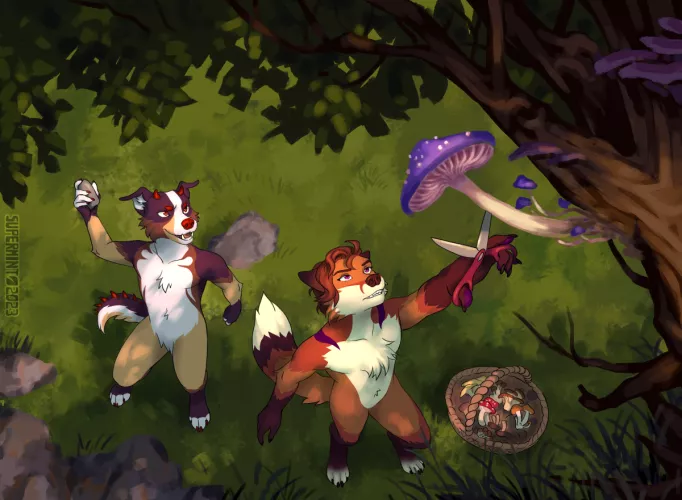 [Commission] Ludo & Acci