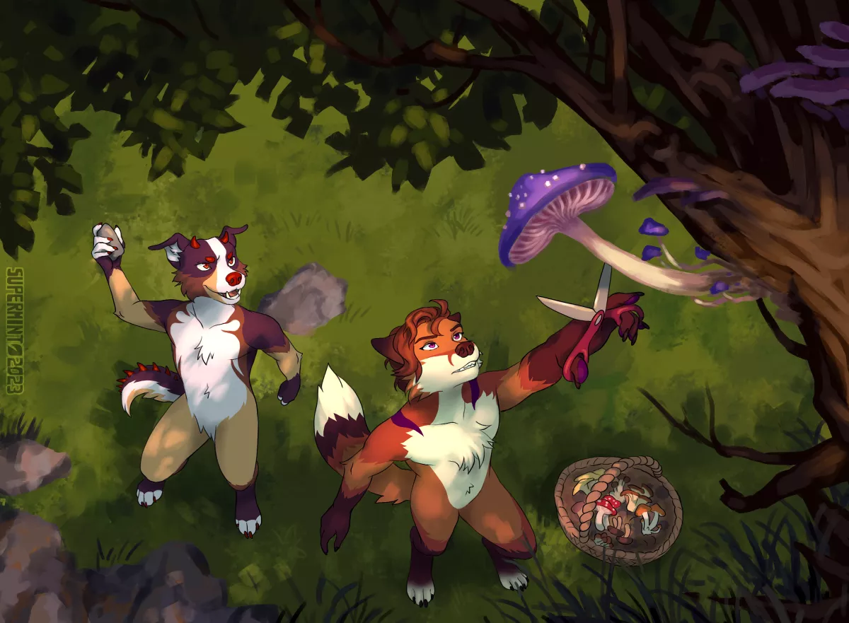 [Commission] Ludo & Acci